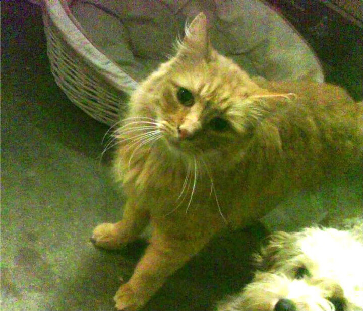 fb体育平台安全-_荒漠越野跑:在沙丘中追逐极限_,沙漠越野技术指导 视频