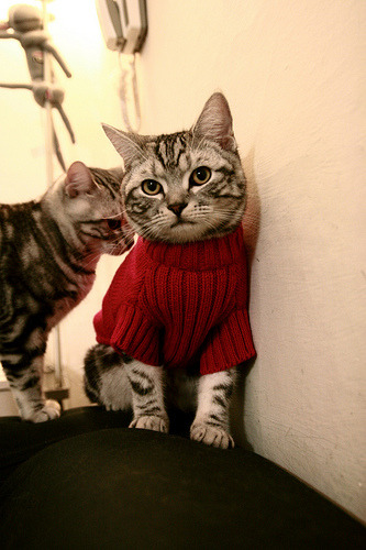 fb体育网址-凯尔特人险胜76人，塔图姆压哨三分惊天逆转，凯尔特人续约塔图姆