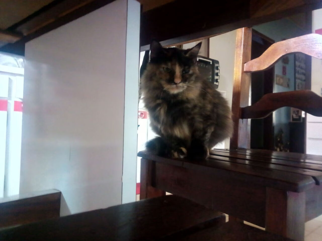 FB体育网站-北京国安球队体能提升显著，北京国安足球队