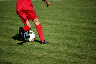 FB体育APP-中国篮球职业俱乐部青训体系构建与实践,青年篮球训练机构