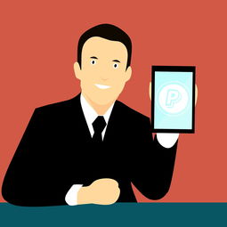 FB体育在线直播平台-中国篮球联赛品牌建设策略与粉丝经济发展研究，中国国内的篮球联赛简称