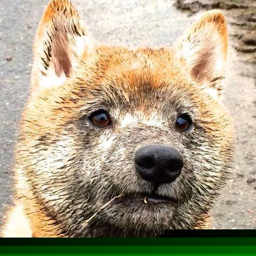 FB体育登录入口-中超年度关键先生评分排行榜,中超关注度