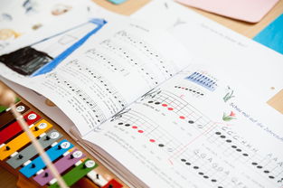 FB体育-中小学继续教育,中小学继续教育网