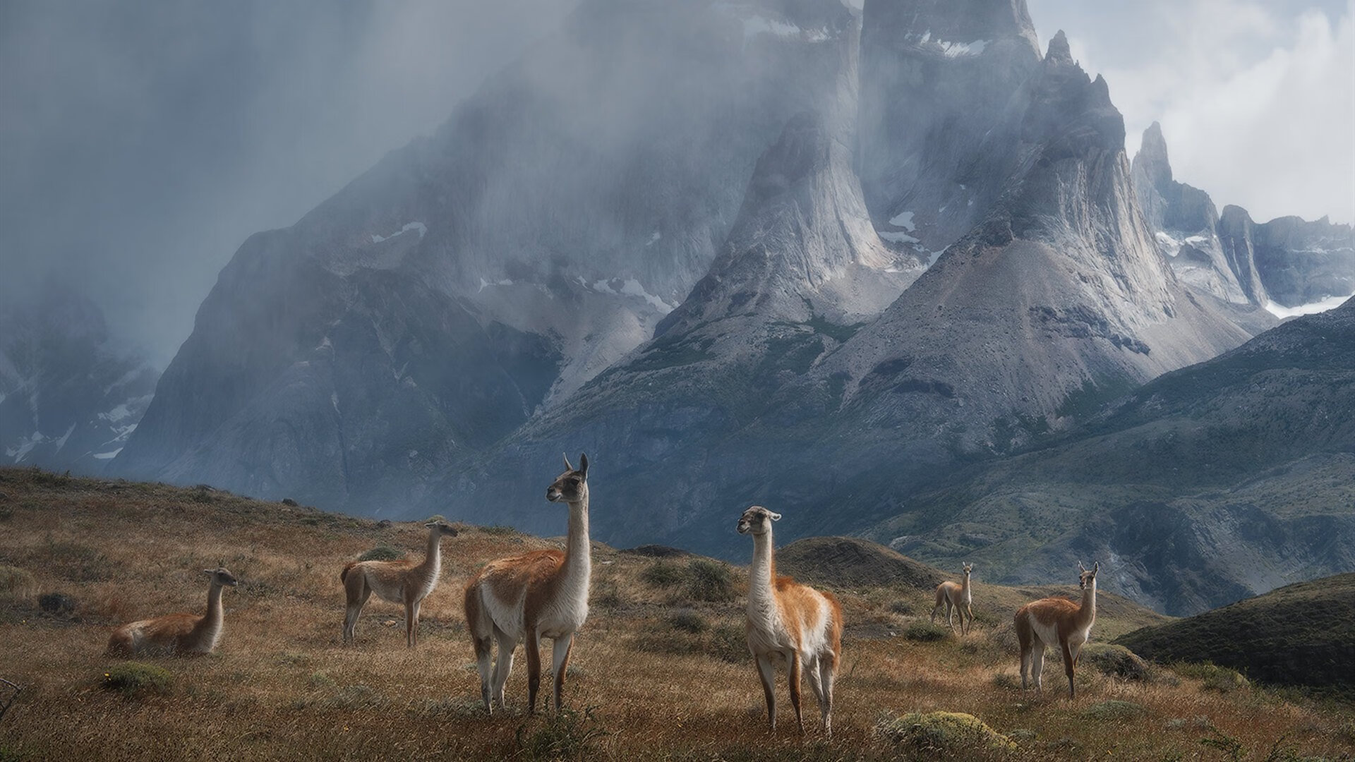 FB体育网页版-意甲青训体系引入战术应激干预模型提升临场表现一致性,意甲本队青训