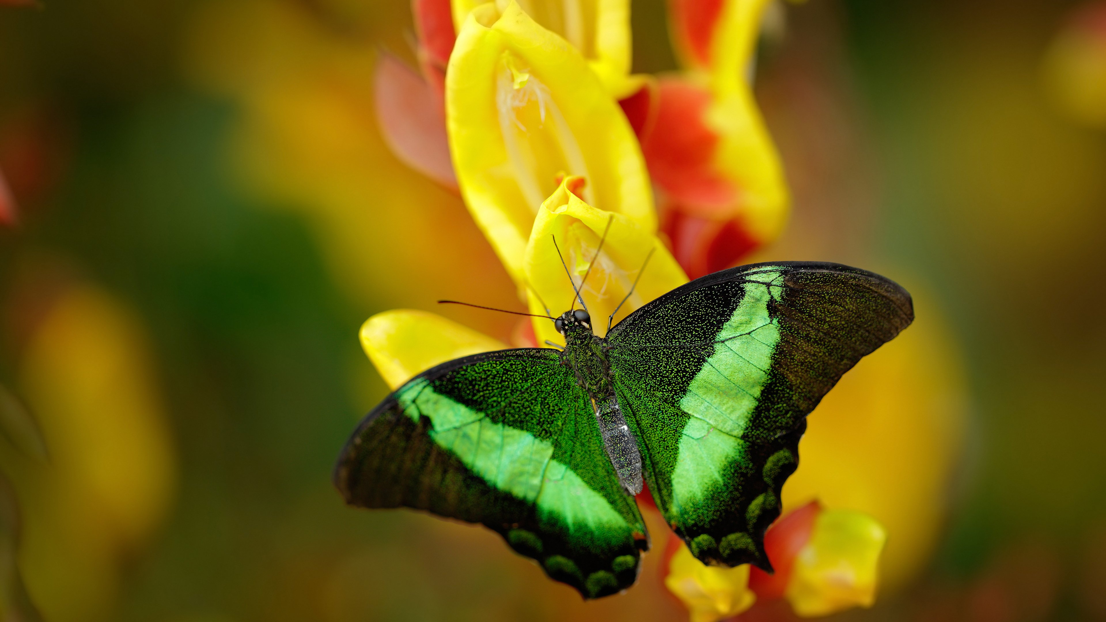 fb体育app官网-新闻中心发布科技创新白皮书,科技创新新闻发布会