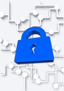 FB体育网站-高校体育社团管理数字化平台构建方案，全国性体育社团