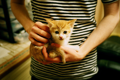 FB体育注册网址-2024年埃及队在世界杯中的技术革新与突破,埃及世界杯阵容