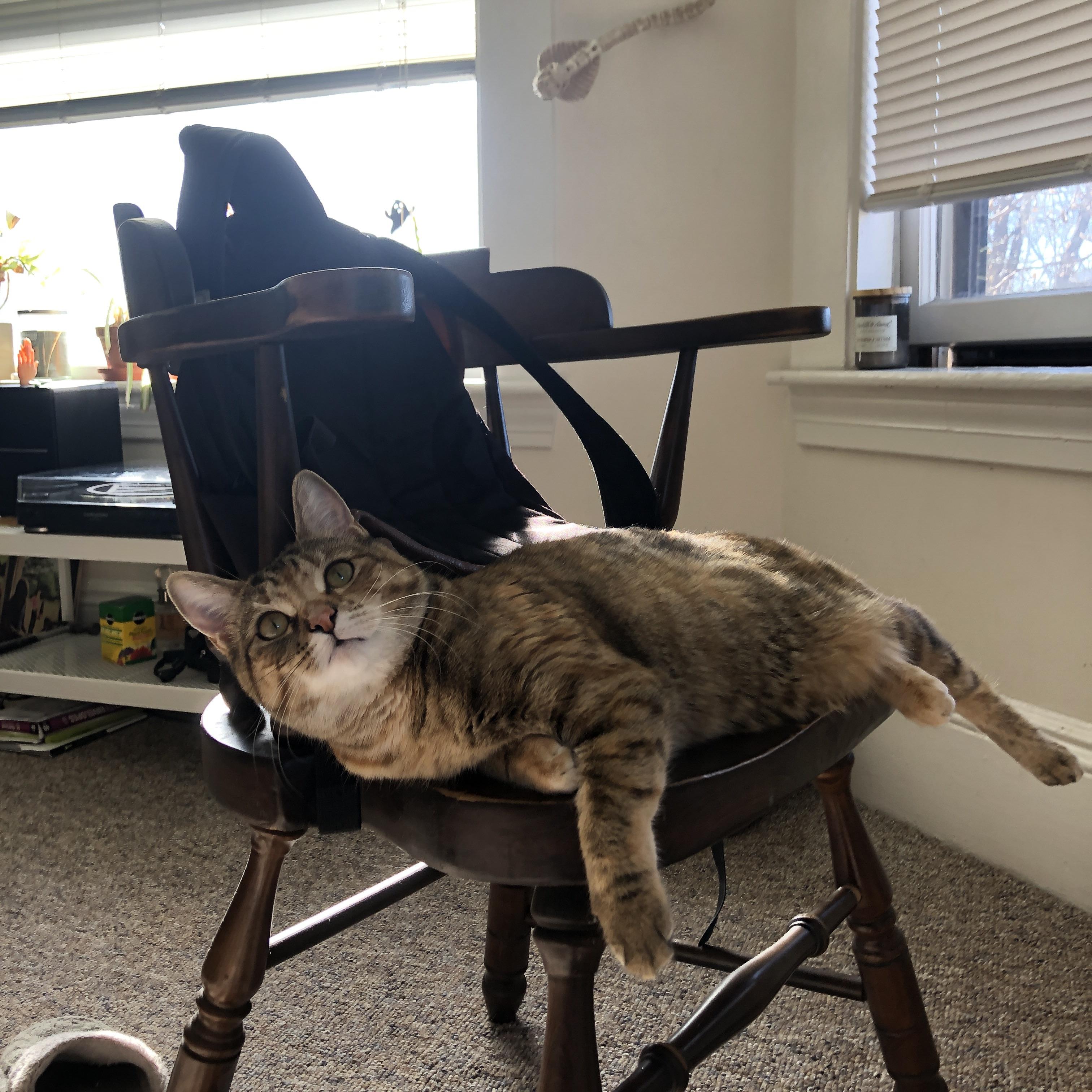 FB体育APP-“东安湖体育公园赛场：跑酷挑战不断，选手精彩绝伦”