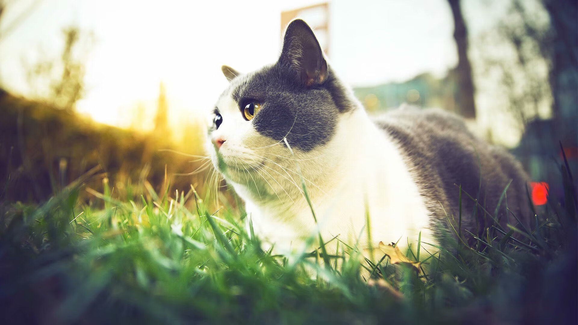 FB体育登录入口-中国男篮提升全场压迫防守执行度，中国男篮篮球规则