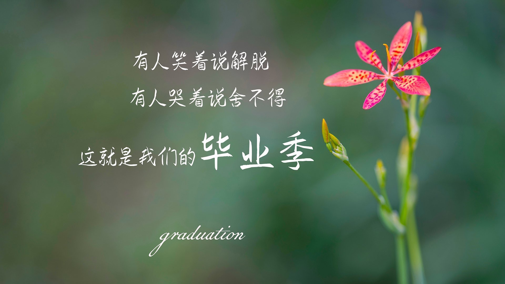 FB体育登录入口-中国男篮提升全场压迫防守执行度,中国男篮篮球规则