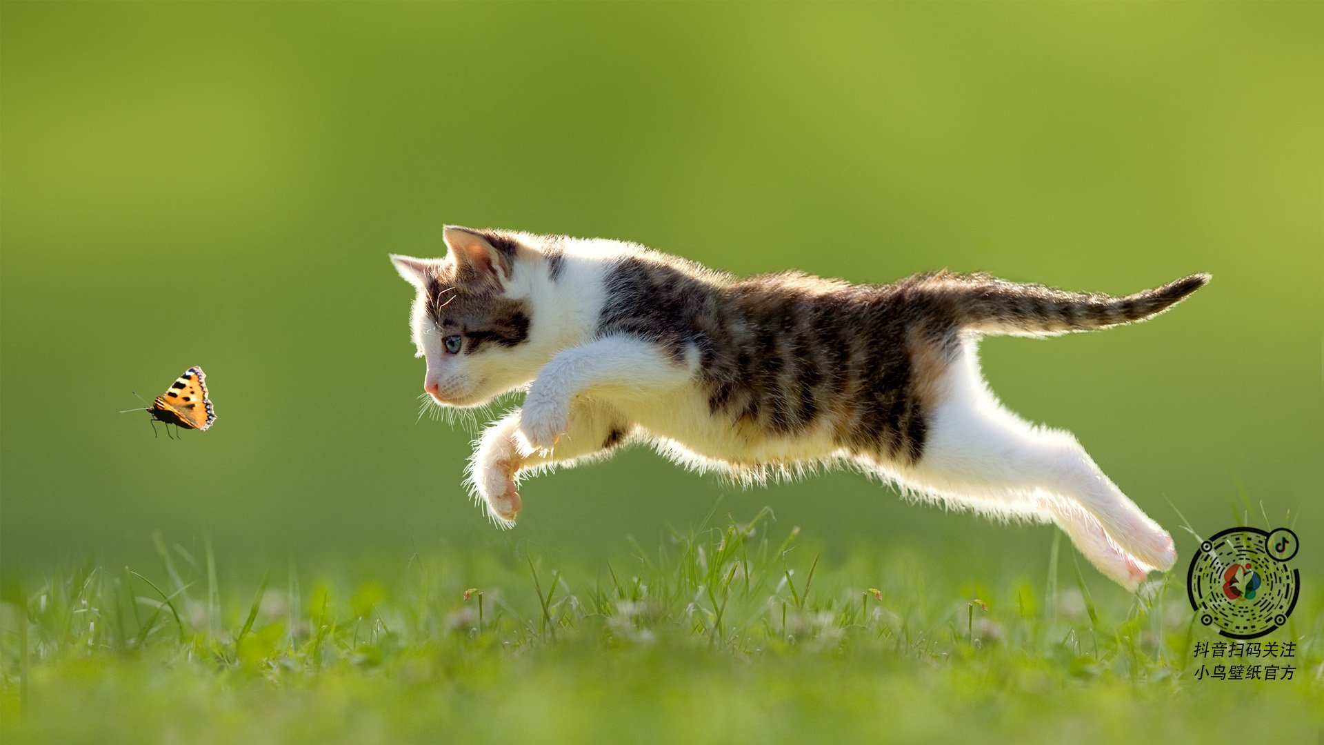 FB体育网站-国足复仇亚洲杯 精彩比赛让人热血沸腾，国足亚洲对手